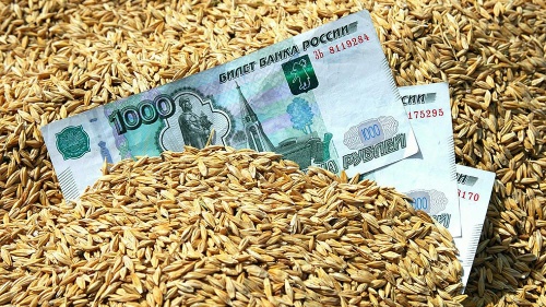 ГОСДУМА ЗАПРОСИЛА ДОПОЛНИТЕЛЬНО 135 МЛРД РУБЛЕЙ НА ПОДДЕРЖКУ АГРОСЕКТОРА
