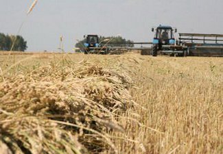 ТОРГИ ЗЕРНОМ ПРОЙДУТ ПО ЛИМИТАМ