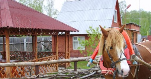 ДОХОДЫ СЕЛА БУДУТ ПРИРАСТАТЬ АГРОТУРИЗМОМ