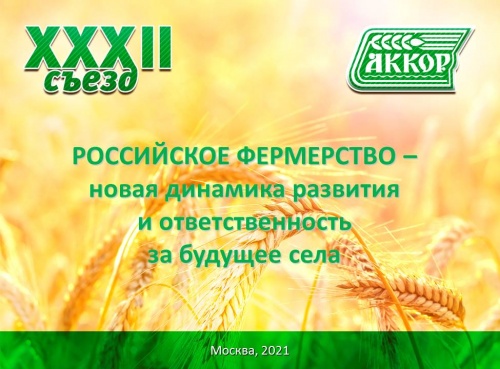 В АККОР ПЕРЕИЗБРАНЫ РУКОВОДЯЩИЕ ОРГАНЫ