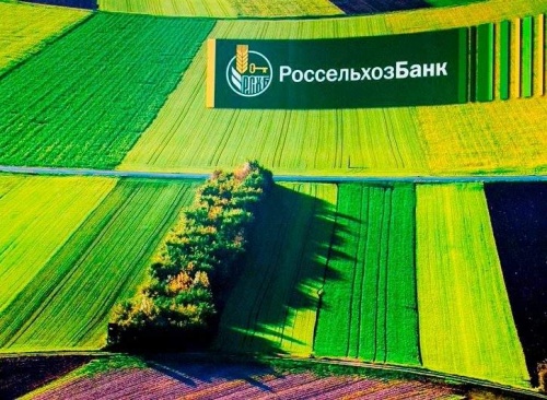 Глава РСХБ презентовал результаты роста экосистемы Своё Фермерство на открытии выставки «Золотая осень»