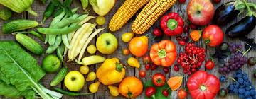 В РОССИИ УТВЕРДИЛИ ПЕРВЫЕ ШЕСТЬ ГОСТОВ НА "ЗЕЛЕНУЮ" ПРОДУКЦИЮ