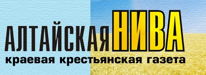 О сложностях и радостях текущей уборочной пишет «Алтайская нива»