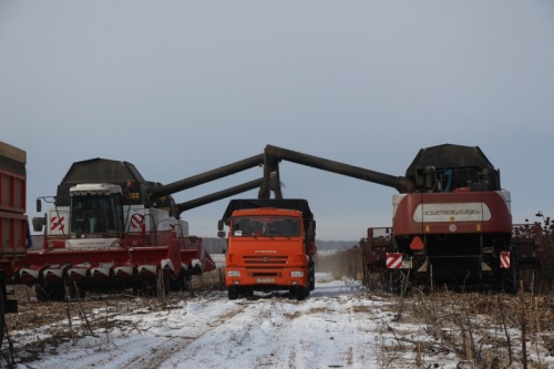 Уборка-2018. Аграрии региона намолотили 440 тысяч тонн маслосемян подсолнечника