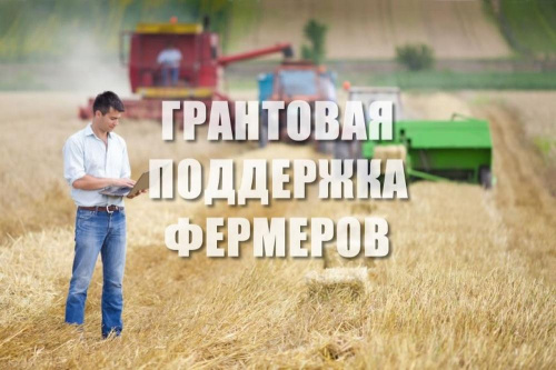 В Алтайском крае фермеры и кооперативы получат грантовую поддержку