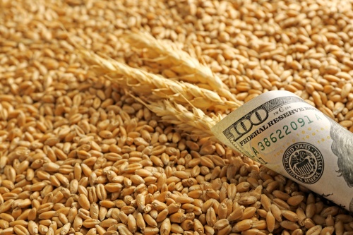 МНЕНИЕ. ПРОИЗВОДИТЕЛЮ ДОСТАЕТСЯ НЕ БОЛЕЕ 7% ПРИБЫЛИ ОТ ПРОДАЖИ СЕЛЬХОЗПРОДУКЦИИ