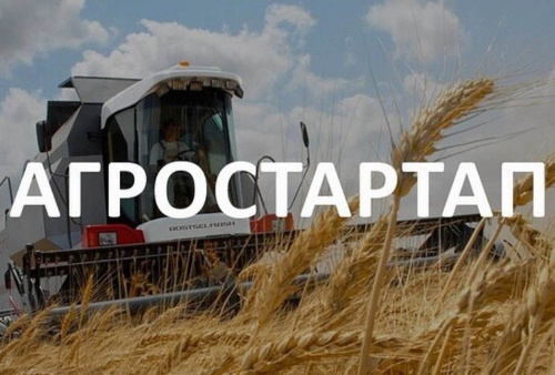 25 фермеров Алтайского края получат гранты на развитие бизнеса