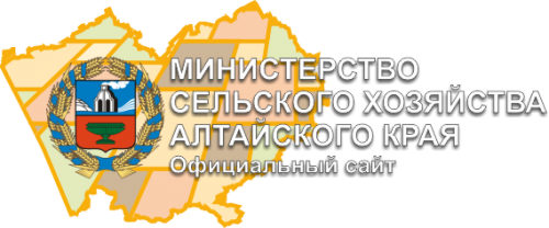 АЛТАЙСКИЕ ФЕРМЕРЫ НА 15% НАРАСТИЛИ ПОГОЛОВЬЕ КРС