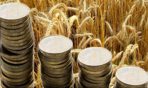 Алтайский край получит более 340 млн рублей господдержки на производство и реализацию зерновых культур