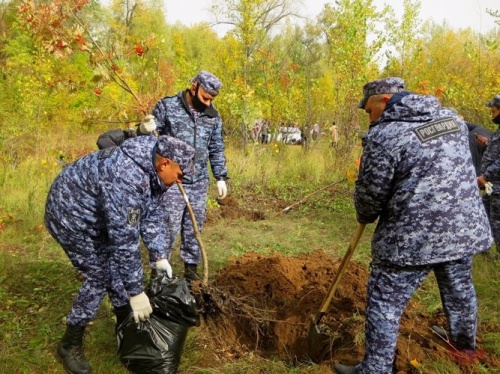 В РОССИИ ГОТОВИТСЯ «ЗЕЛЕНАЯ» РЕФОРМА