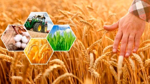 ОБОЗНАЧЕНЫ ПРИОРИТЕТЫ РОССИЙСКОГО АПК НА 2021 ГОД